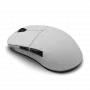 Rato Endgame Gear XM2w 4k Wireless