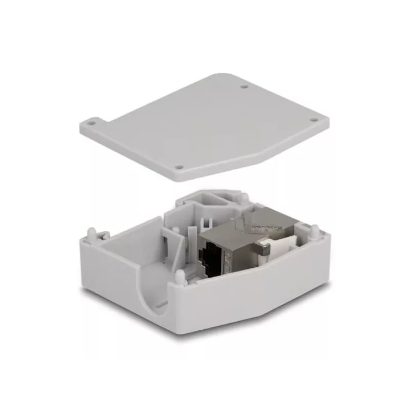 Adaptador para calha DIN DeLOCK conector fêmea RJ45 para conector fêmea RJ45 Cat.6A cinzento