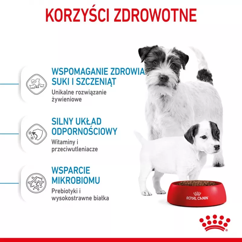 Ração seca para cães Royal Canin Starter Mother & Babydog 1 kg — frango, 30% proteína, 22% gordura