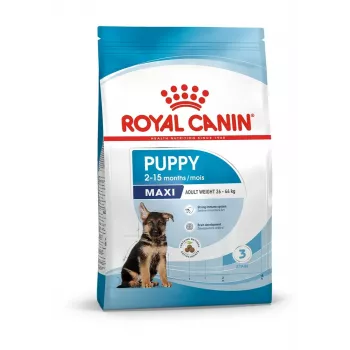 Royal Canin Maxi Puppy alimento para cães, 15 kg, arroz, legumes