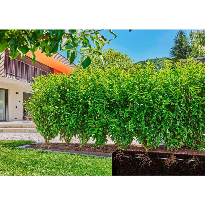 Gardena Micro-Drip-System linha de gotejamento, 1,6 l/h, 50 m (13504-20)