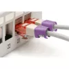 Clipe de codificação de cores Digitus Color Clips para cabo de patch A-CC-VI PVC violeta