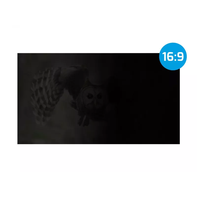 NATEC Owl NFP-1616 filtro de privacidade 13,3 polegadas (33,8 cm), 16:9, 293,9x165,5 mm