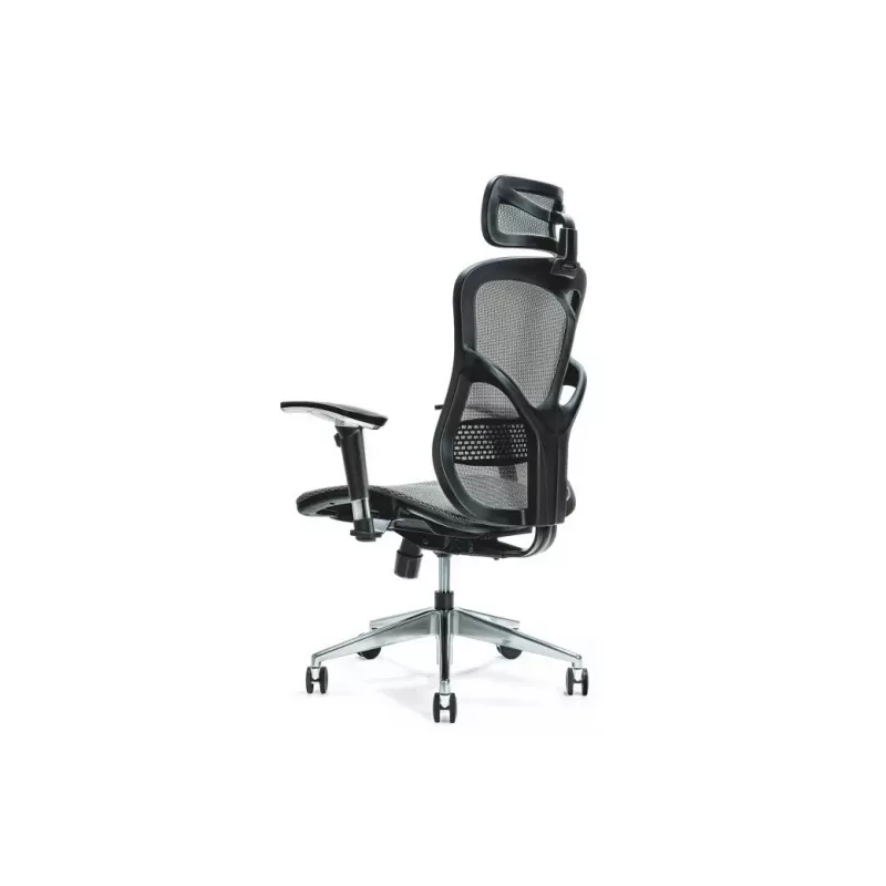 Cadeira de escritório ergonómica ERGO 500 cinzenta