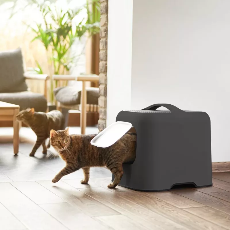 Rotho Biala caixa de areia para gatos, plástico, 51 x 39,5 x 44,3 cm, antracite