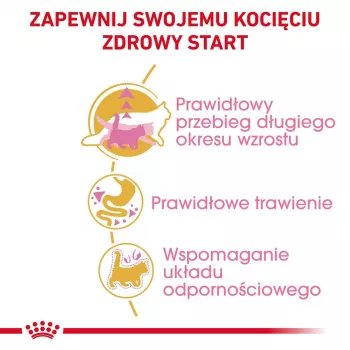 Comida seca para gatos Royal Canin Maine Coon Kitten 2 kg — aves, proteína 36%, gordura 23%