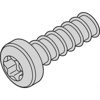 SCHROFF SCREW TORX 2.5X7.3 (100PCS) - acessório de rack (24560157)