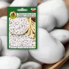 PNOS feijão seco Iglomska sementes, 50 g
