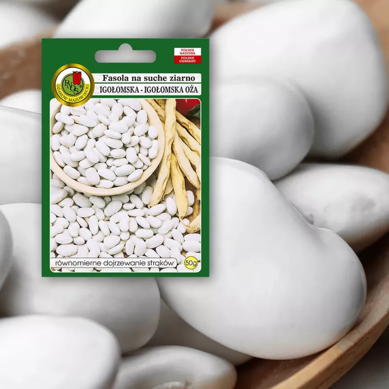 PNOS feijão seco Iglomska sementes, 50 g