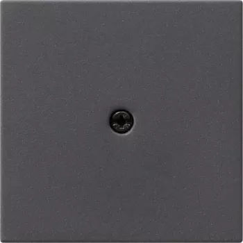 Placa de parede/tampa de interruptor GIRA 027428 antracite (027428)