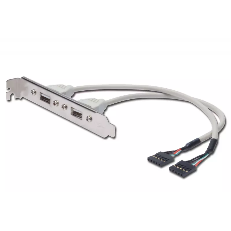 Cabo com chapa de slot USB Digitus AK-300301-002-E