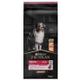 Purina Medium Adult Sensitive Skin 14 kg salmão