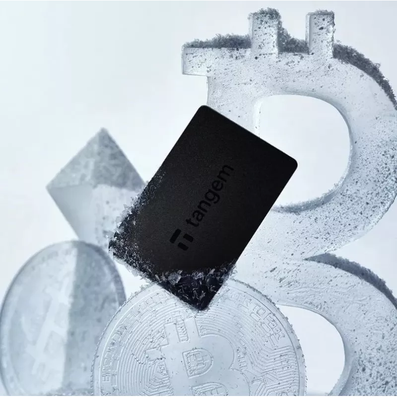 Carteira de criptomoedas Tangem Wallet - 2 cartões