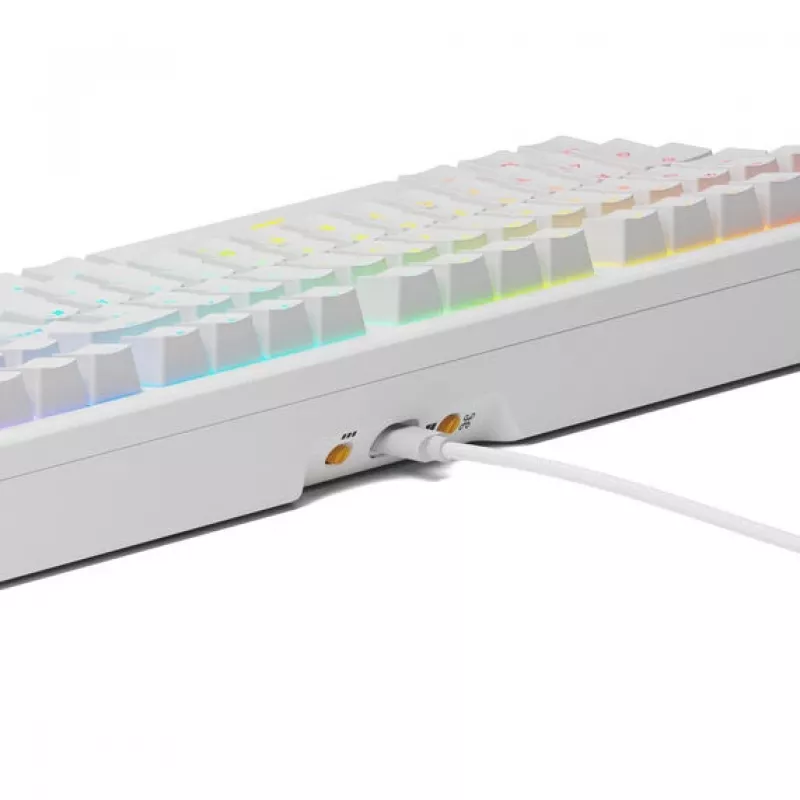 Glorious PC Gaming Race GMMK 3 HE 100% teclado gaming pré-montado branco LEDs RGB Glorious Fox HE USB