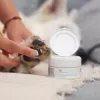 Pomada VETEXPERT Paw Protection 75 ml — cuidado das patas para cães e gatos, adequada para todas as raças e idades