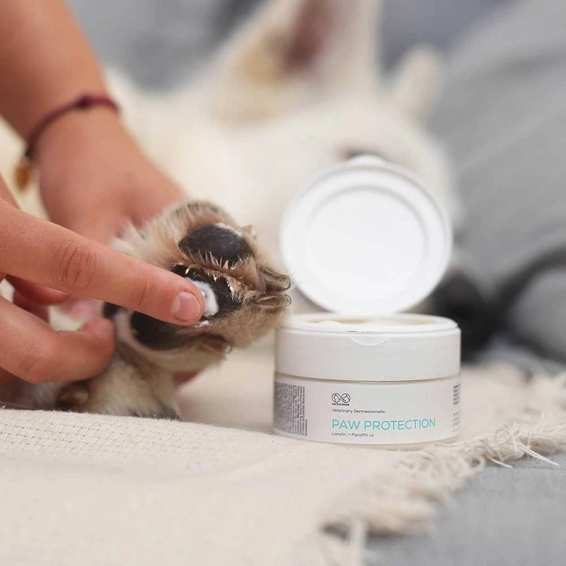 Pomada VETEXPERT Paw Protection 75 ml — cuidado das patas para cães e gatos, adequada para todas as raças e idades