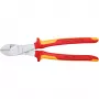 Produto Knipex 74 06 250