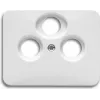 Busch Jaeger 1724-0-1911 Tampa de parede/tampa de interruptor branco (1724-0-1911)