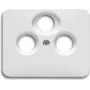 Busch Jaeger 1724-0-1911 Tampa de parede/tampa de interruptor branco (1724-0-1911)