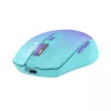 Rato sem fios Tellur Silent Click TLL491331 USB