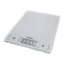 Leifheit 61504 prateado