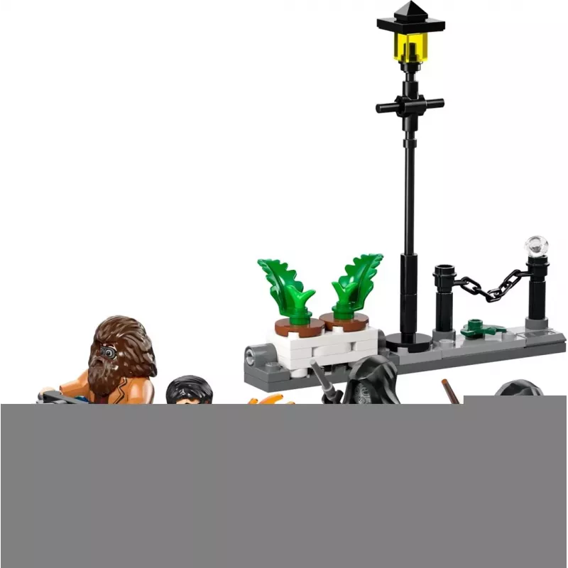 LEGO HARRY POTTER 76459 Hagrid e a fuga do Harry da Privet Drive