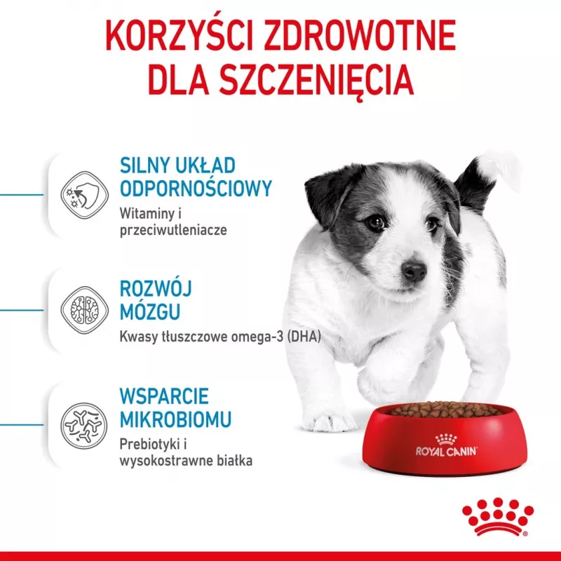 ROYAL CANIN Mini Puppy SHN comida seca para cães 2 kg