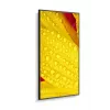 NEC MultiSync M651-2 design quiosque 165,1 cm (65 polegadas) LED 500 cd/m² 4K Ultra HD Preto Processador integrado