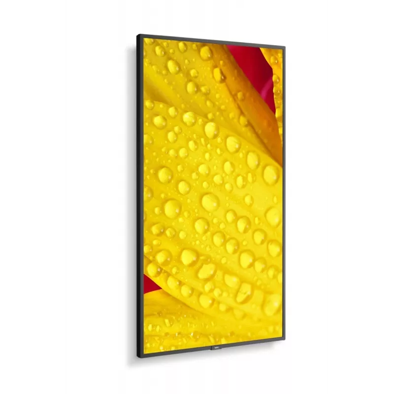 NEC MultiSync M651-2 design quiosque 165,1 cm (65 polegadas) LED 500 cd/m² 4K Ultra HD Preto Processador integrado