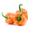 PNOS pimento Etiuda sementes de hortícolas, 0,5 g