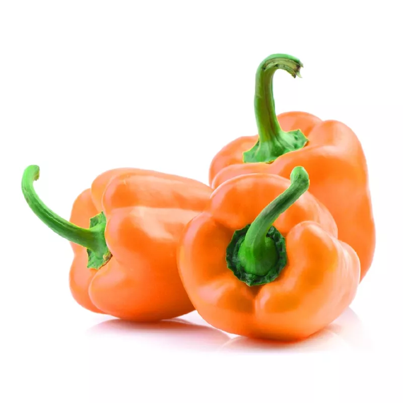 PNOS pimento Etiuda sementes de hortícolas, 0,5 g