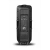 Altifalante portátil APA24 Bluetooth Karaoke, preto