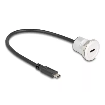 Cabo USB DeLOCK 88183 0,3 m USB-C preto prateado