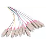 Cabo InfiniBand/fibra ótica LOGON LFP035 2 m 12x SC multicolorido (LFP035)