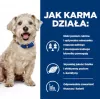 HILL'S Prescription Diet Diabetes Care frango - comida húmida para cães - 370 g