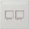 Placa de cobertura Jung LS1969-2NAWELG para MJ 2f NA WE (AMP Rad.) (LS1969-2NAWELG)