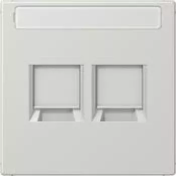 Placa de cobertura Jung LS1969-2NAWELG para MJ 2f NA WE (AMP Rad.) (LS1969-2NAWELG)