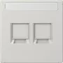 Placa de cobertura Jung LS1969-2NAWELG para MJ 2f NA WE (AMP Rad.) (LS1969-2NAWELG)