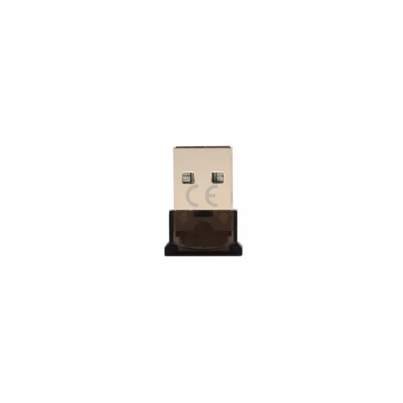 Natec Fly NBD-2003 adaptador USB Bluetooth 5.0 nano, classe II