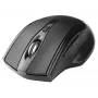 Rato ótico sem fios Tracer 47432 RF 2,4GHz/BT preto