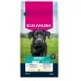 Ração seca para cães EUKANUBA Adult Large Chicken 15 kg — ração seca para cães adultos de raças grandes, frango, 15 kg
