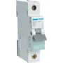 Hager MBN150. Número de polos: 1P. Frequência de entrada AC: 50/60 Hz, Corrente nominal de saída: 50 A (MBN150)