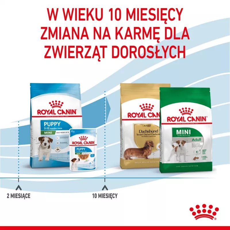 ROYAL CANIN Mini Puppy SHN comida seca para cães 2 kg