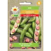 Sementes de hortícolas feijão Crimson Toraf, pacote 30g