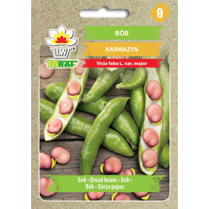 Sementes de hortícolas feijão Crimson Toraf, pacote 30g