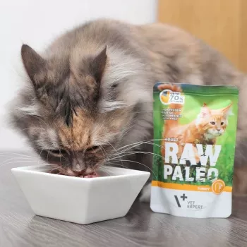Comida húmida para gatos VETEXPERT Raw Paleo Adult Cat peru 100 g - sem cereais, 10,3 % proteína, 5,3 % gordura, 79 % humidade