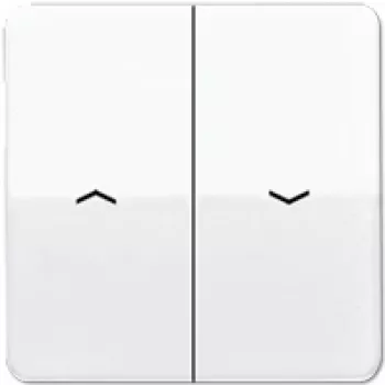 JUNG tecla para interruptor de persiana/botão CD595PWW CD500 branco alpino CD595PWW (CD595PWW)