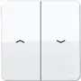 JUNG tecla para interruptor de persiana/botão CD595PWW CD500 branco alpino CD595PWW (CD595PWW)