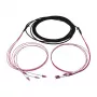 Synergy 21 Cabo de fibra ótica Trunk U-DQ ZN BH 4G 50/125 LC/LC OM4 40m anel - Cabo - Fibra multimodo