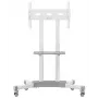 Suporte de TV ONKRON TS1351-W para televisores de 32–65 polegadas, branco, suporte de chão universal
